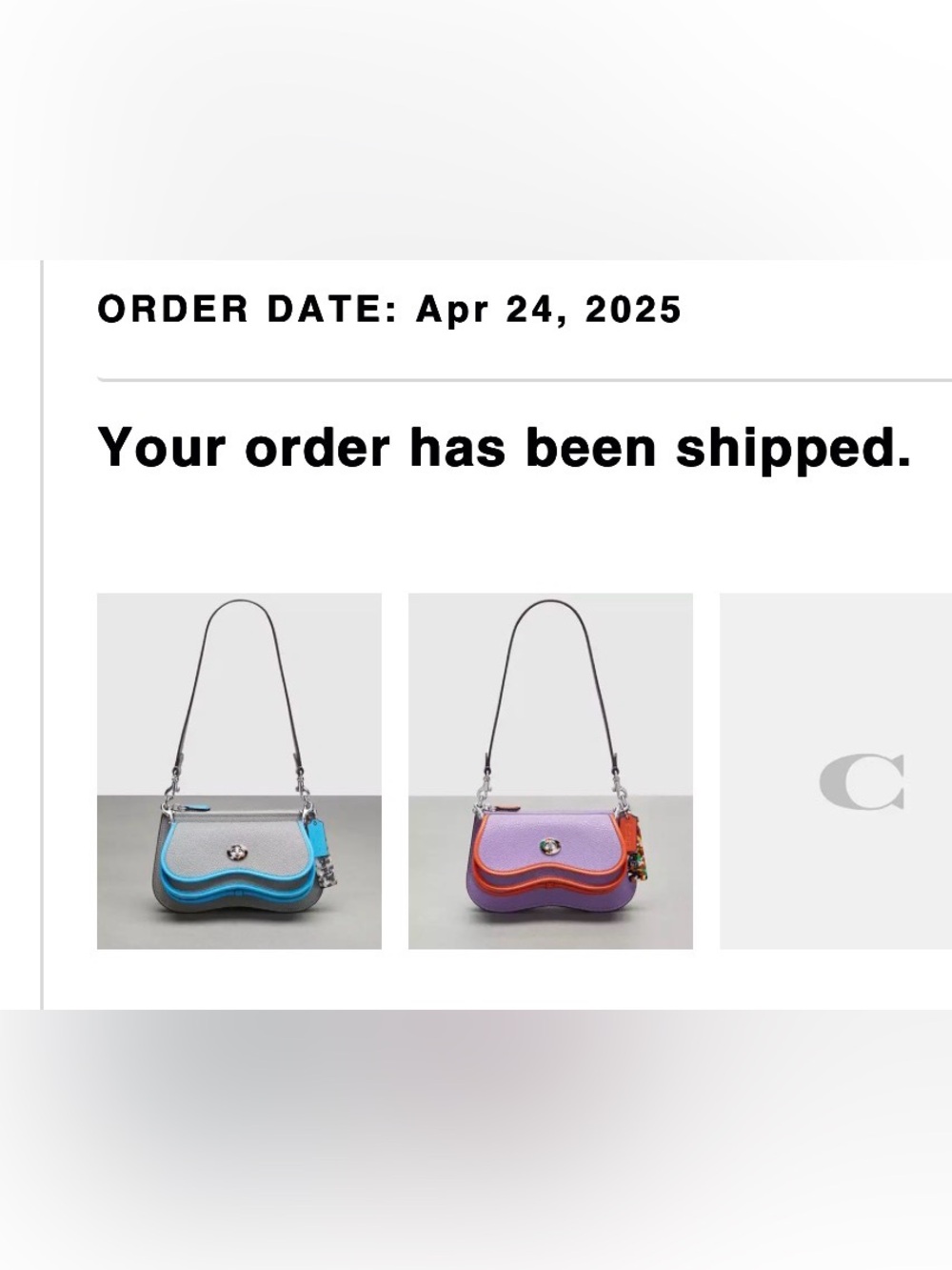 Coachtopia Purple and Orange Wavy Dinky Double Pouch Bag Iris/Sun Orange NWT - Picture 12 of 12